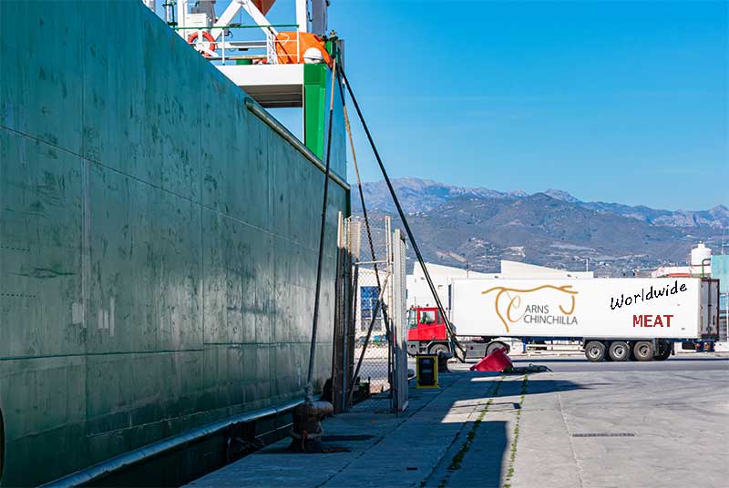 camion barco carns chinchilla